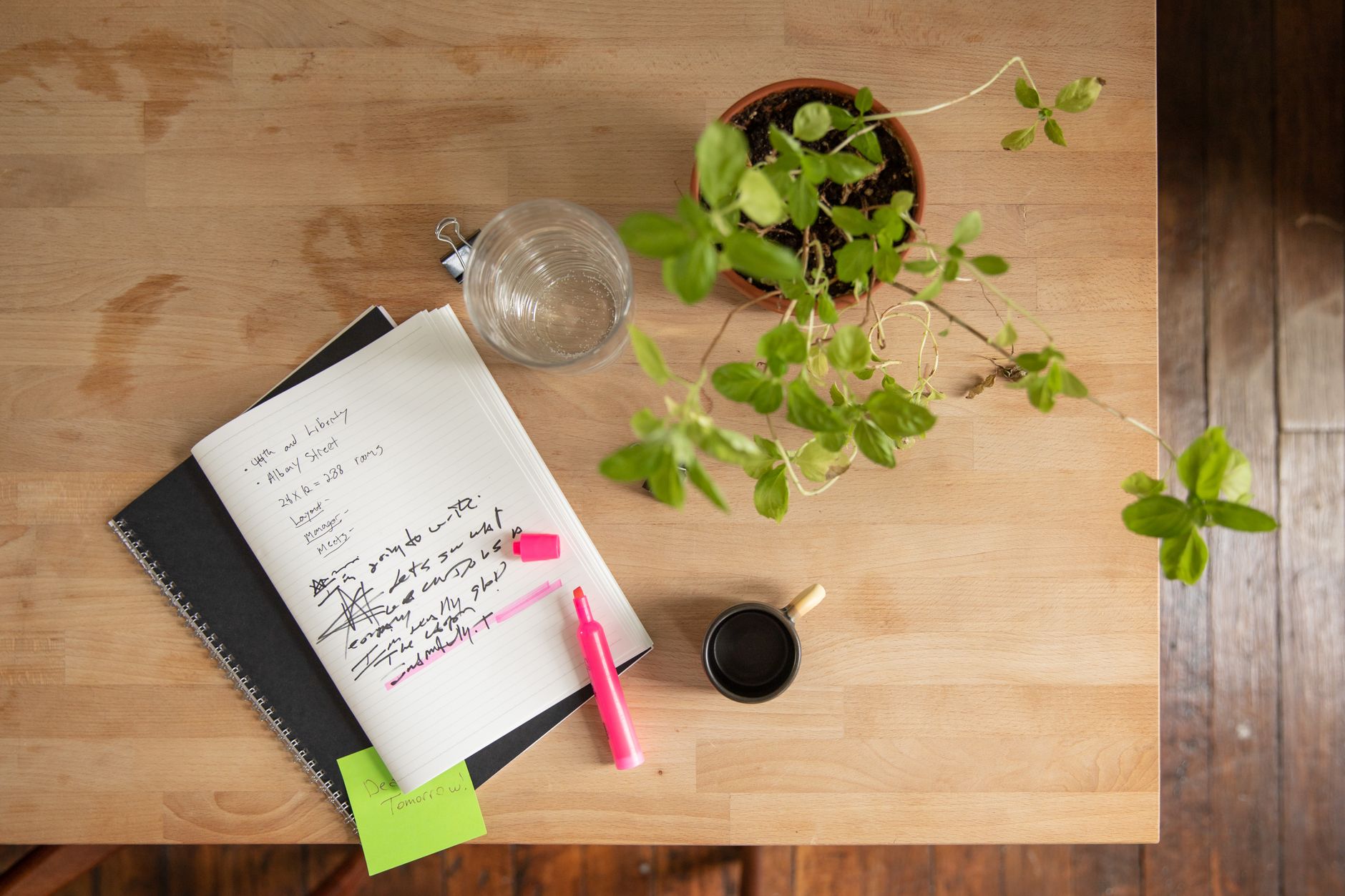 Les jardins numériques : publier ses notes en public